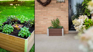 Garden beds and planters for modern homes!