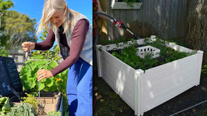 The Best Composting Garden Beds for Your Backyard!
