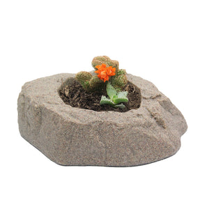 DekoRRa Riverbed colored Planter Faux Rock with cactus planted in it