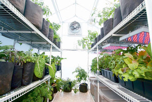 Solexx Garden Master Greenhouse with plants