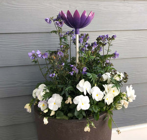 Jazmine Root Waterer in Violet used in a planter