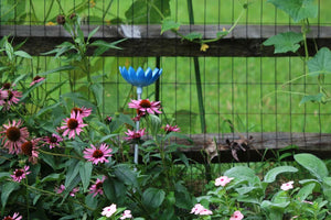 Jazmine Root Waterer in Bluebell used in a flower bed