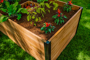 Mezza 3x5 Keyhole Composting Garden