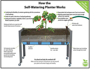 Self-Watering Elevated Cedar Planter (21" x 47" x 32") infographic