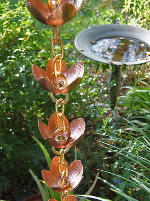 Tara Flower Copper Cup Style Rain Chain after rainstorm