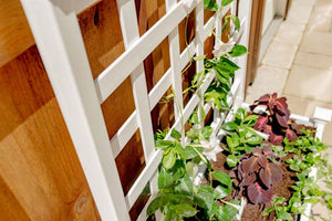 Huron Planter with Trellis with plants