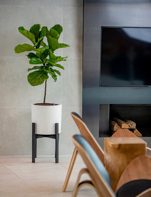 Växa 14” Self-Watering Planter in living room 