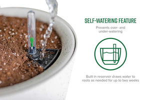 Växa 14” Self-Watering Planter feature