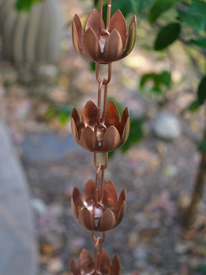 view of lily flower cups rain chain from above