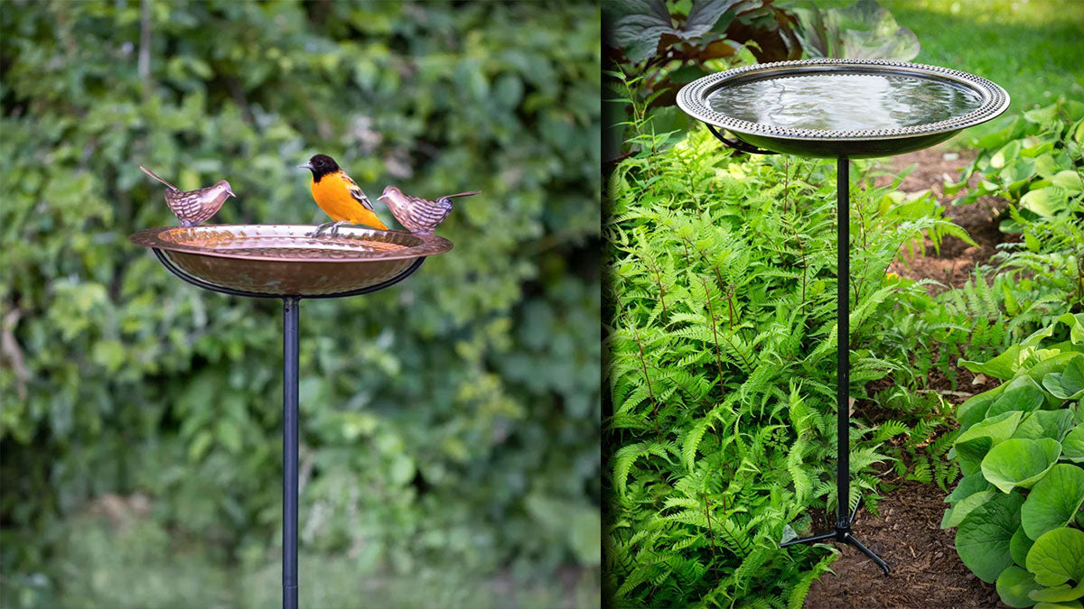 Maintaining your bird bath