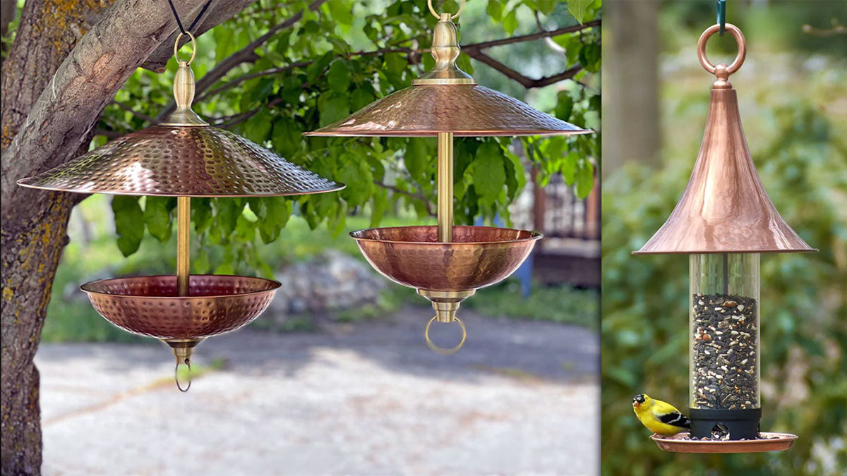 Bird Feeder Maintenance for summer
