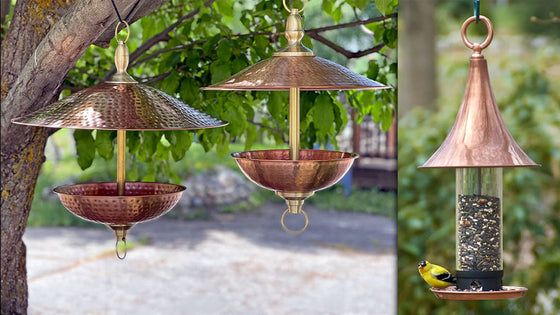 Bird Feeder Maintenance for summer