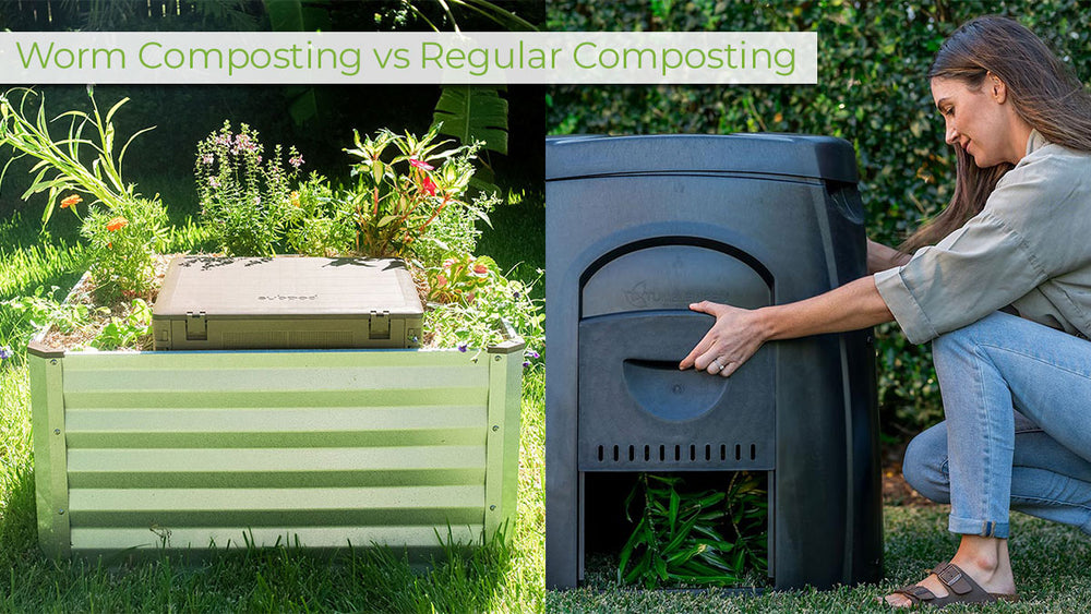 Worm Composting vs. Traditional Composting Composting Help