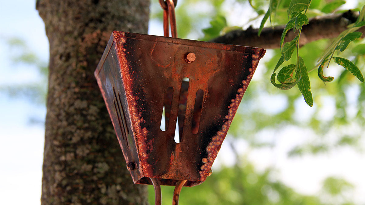 Best Rain Chains for Heavy Rainfall Nutshell Stores