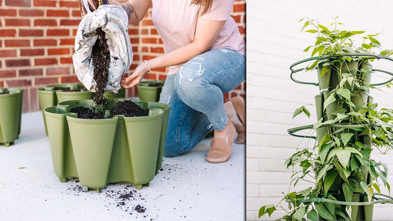 Learn how the GreenStalk Vertical changes small space gardening