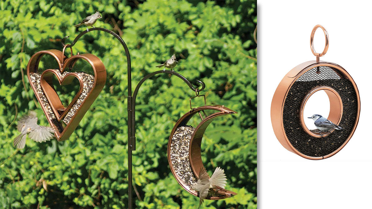 Getting Birds to a new Bird Feeder