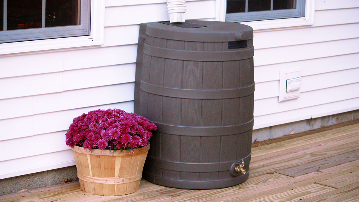 Popular rain barrel of 2022