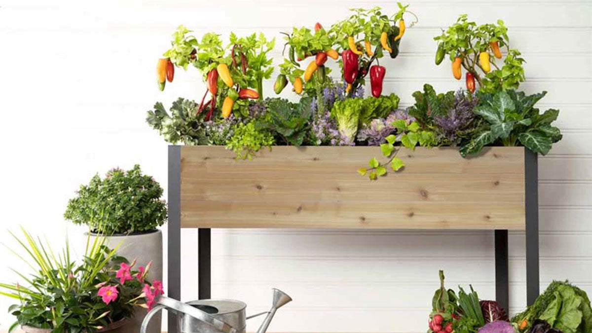 How to setup a raised garden bed 