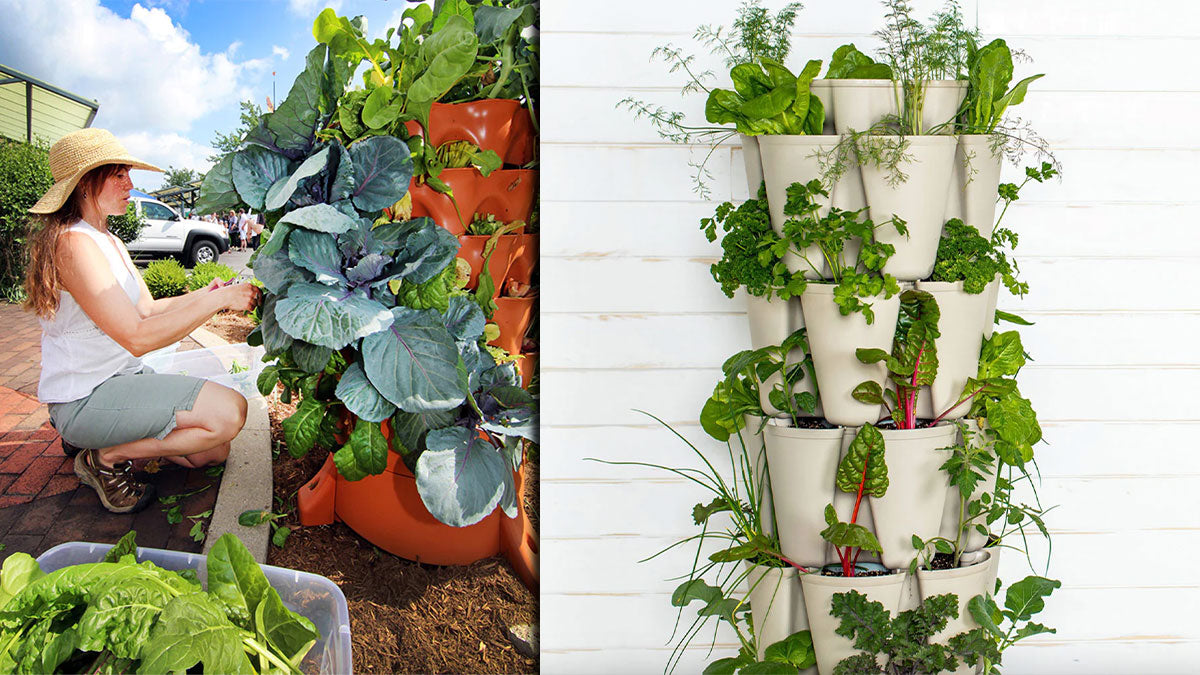 What Soil to Use for a Vertical Garden? Expert Tips Inside