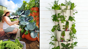 Vertical Planters maximize gardening space