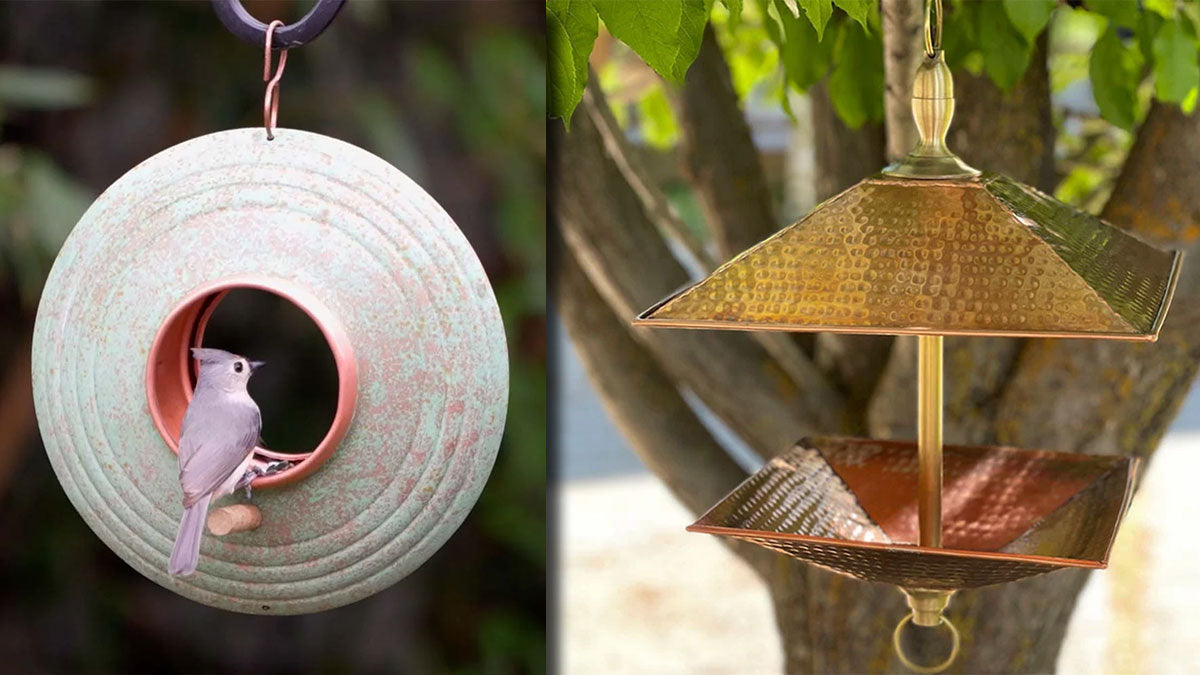 Where to hang your new bird feeder