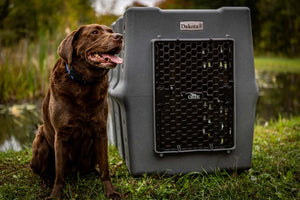 Dakota 283 CRaTE Kennel - X-Large