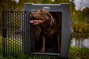 Dakota 283 CRaTE Kennel - Intermediate