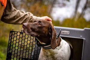 Dakota 283 CRaTE Kennel - Intermediate