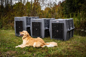 Dakota 283 CRaTE Kennel - Intermediate
