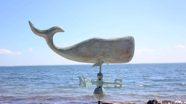 505V1_Whale_BlueVerde_Rotation