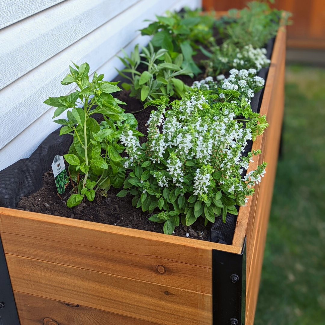 above ground planters box 18" x 72" Planter Box