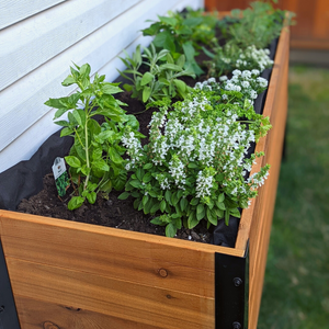 18" x 72" Planter Box - 24" Tall