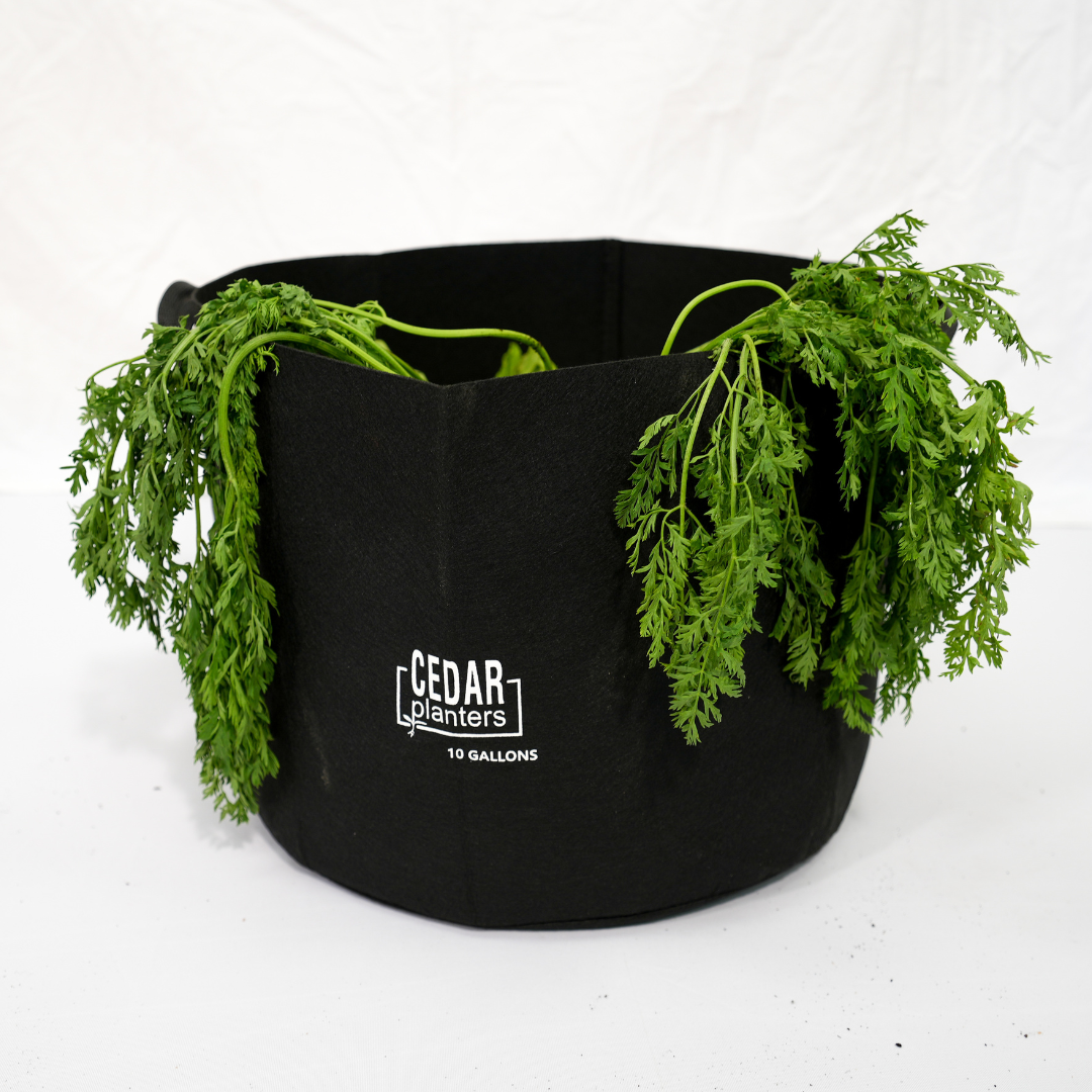 10 gallon pot planter Grow Bag (10 Gallon)