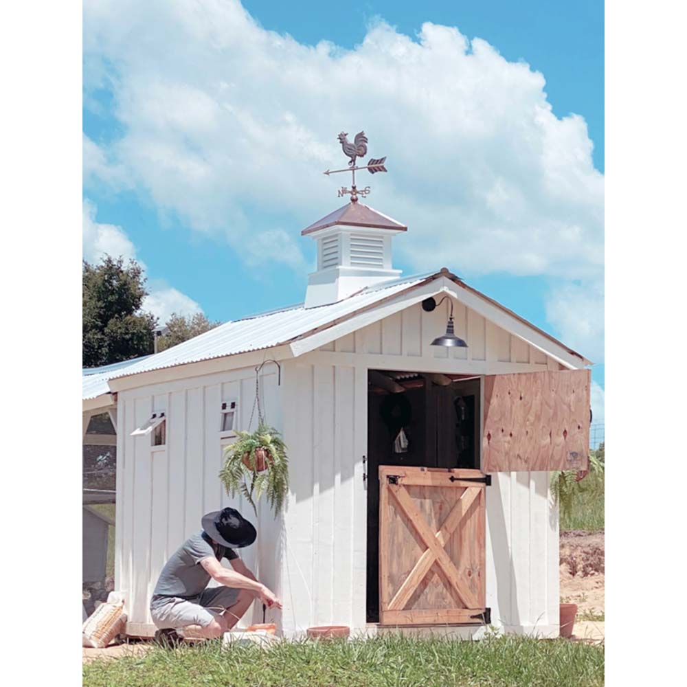 Rooster Cottage Weathervane with Roof Mount