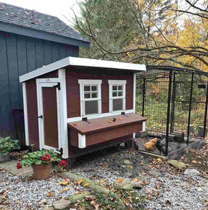 OverEZ Walk-In 8' Chicken Run with chickens
