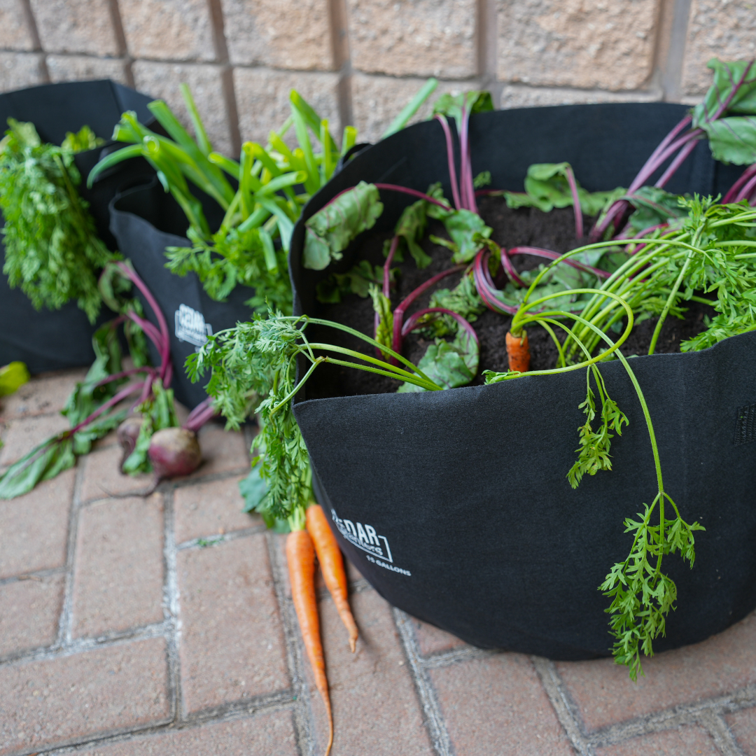 5 gallon plant grow bags Grow Bag (5 Gallon)