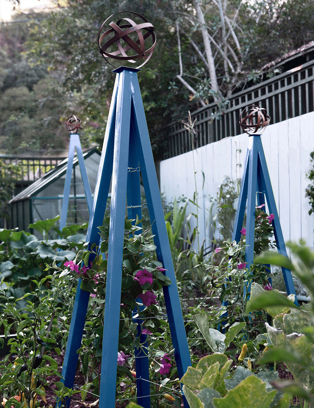 plant obelisk for pots Akoris Garden Obelisk Large