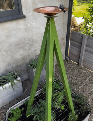Bird Bath with Trellis