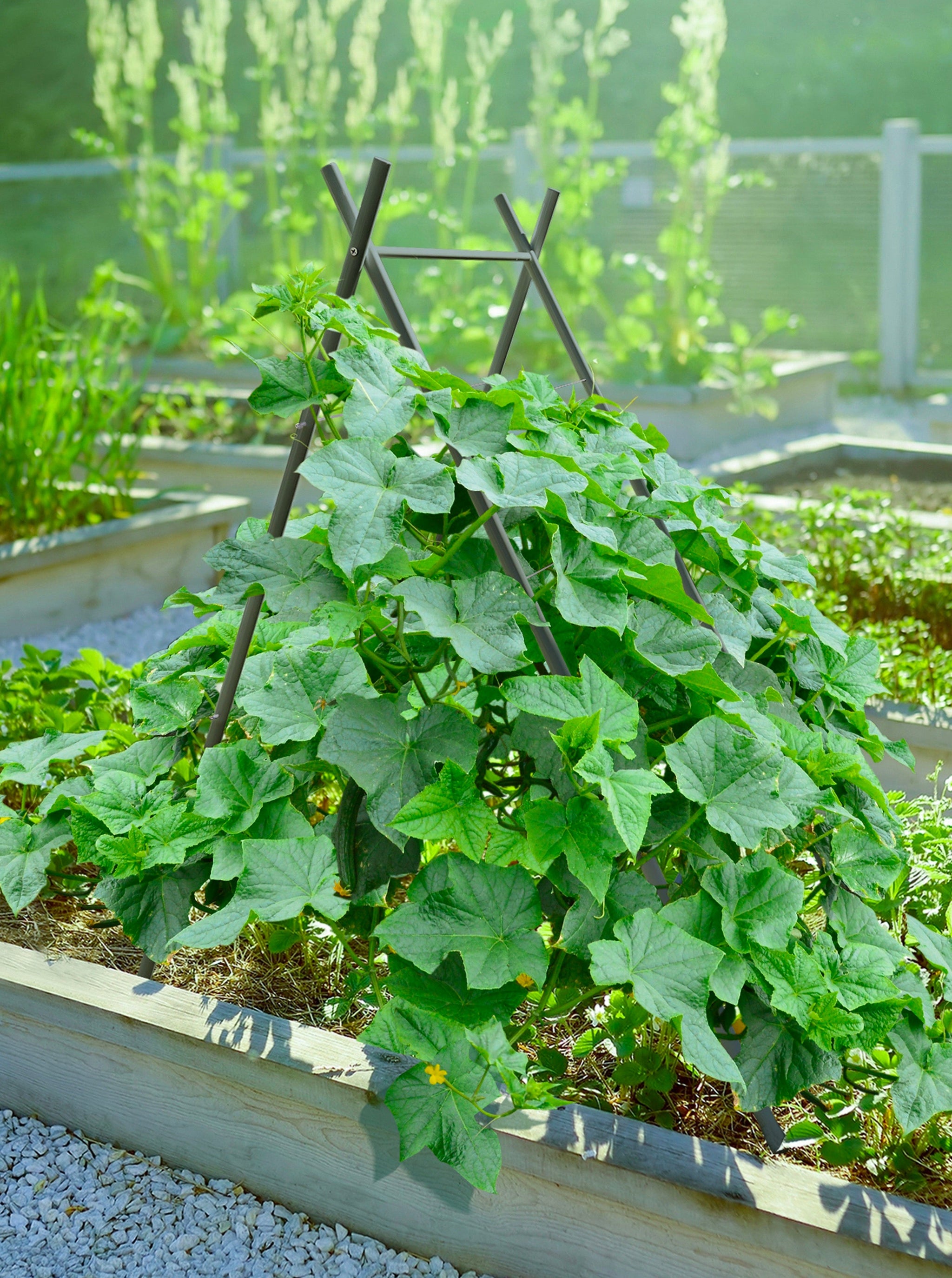 shop trellis for plants Modern A-Frame Trellis