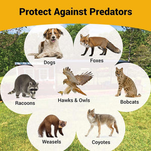OverEZ Chicken Coop in a Box protects against predators