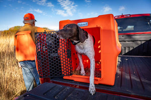 Dakota 283 CRaTE Kennel - Large