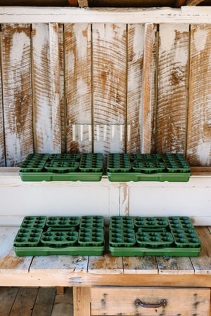 GreenStalk Garden Seed Starter Kit (Set of 4)