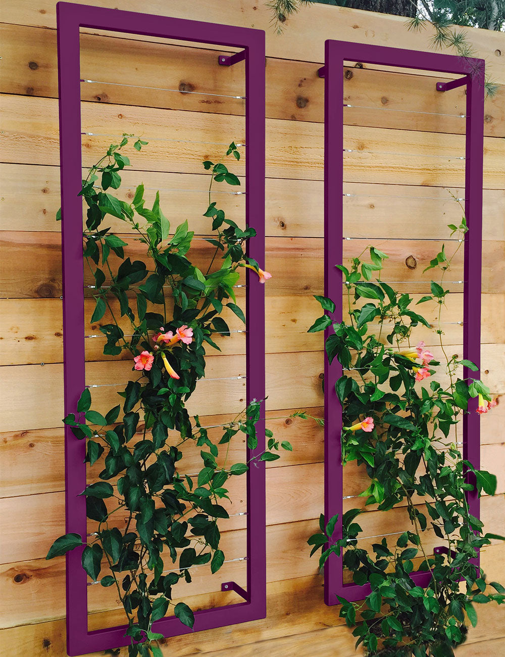 wall trellis for plants Ina Wall Trellis – Large