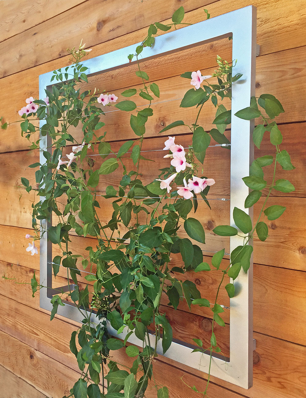 wall mounted plant trellis Ina Wall Trellis