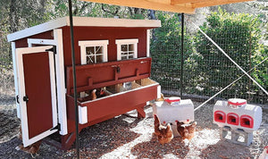 OverEZ Chicken Coop - Large with chickens