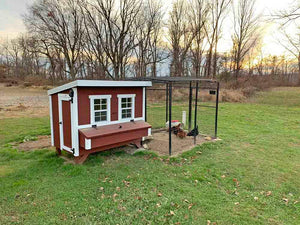OverEZ Chicken Coop - Large in yard