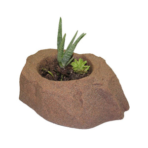 DekoRRa Autumn Bluff colored Planter Faux Rock with aloha planted in it