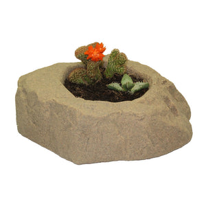 DekoRRa Sandstone colored Planter Faux Rock with cactus planted in it