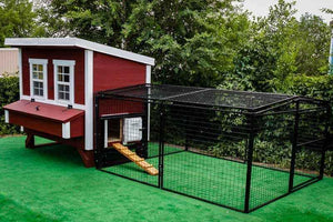OverEZ Regular 8' Chicken Run in yard
