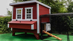 OverEZ Regular 8' Chicken Run on Coop